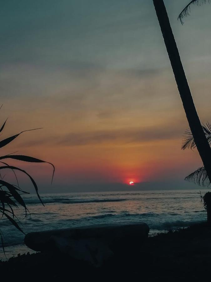 Mermaid Beach Ahangama Dış mekan fotoğraf